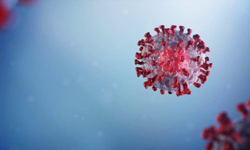 Coronavirus Update | Blocking the Coronavirus