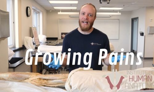 What Are Growing Pains?
