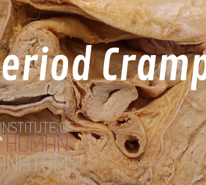 What Are Period Cramps?