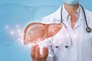 What is the function of the liver?