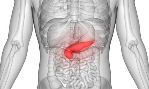 What is the function of the pancreas?