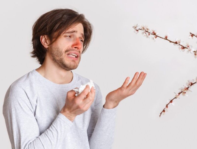 Why do plants trigger my allergies?