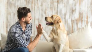 Are there health benefits to having pets?