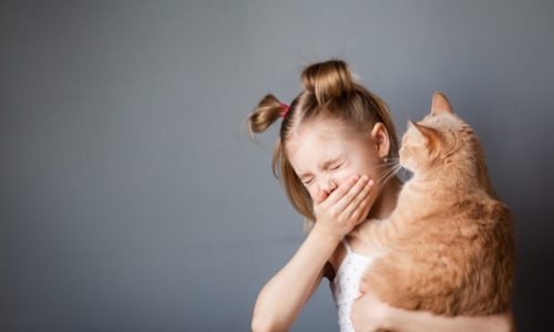 Can some pets make people sick?