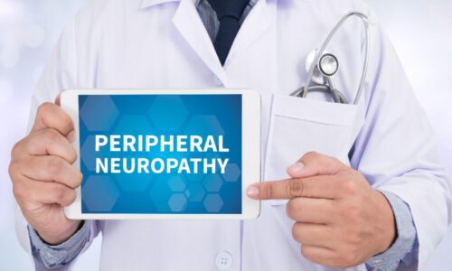 What is the Peripheral Nervous System and what is Peripheral Neuropathy?