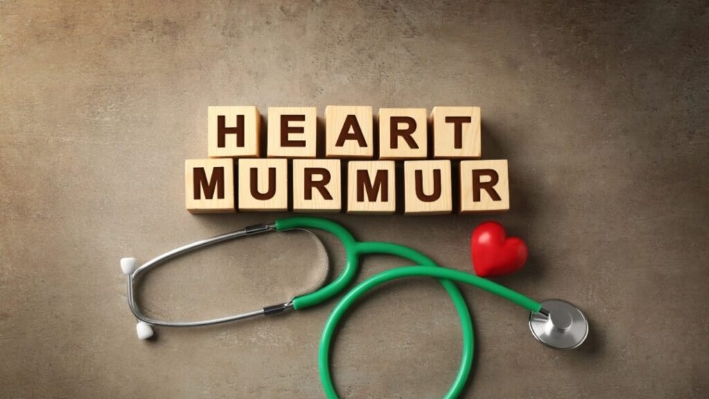 What is a Heart Murmur?