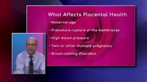 Maternity Care: Healthy Placenta