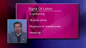Labor: Early Signs & Symptoms