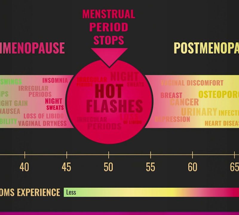 Learning about Menopause