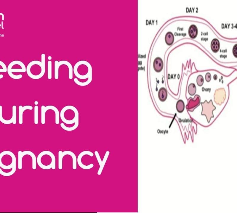 Bleeding during Pregnancy