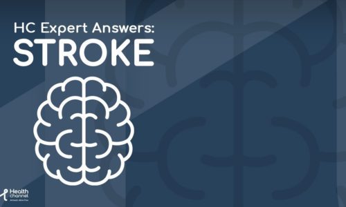 Brain Lobes and Effects of Stroke