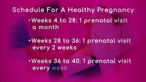 Schedule for a Healthy Pregnancy