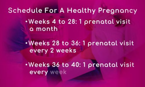 Schedule for a Healthy Pregnancy