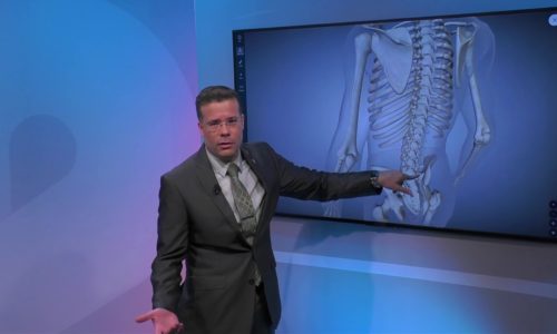Anatomy of Back Pain