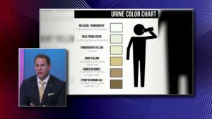 Athletes: Urine Color and Dehydration