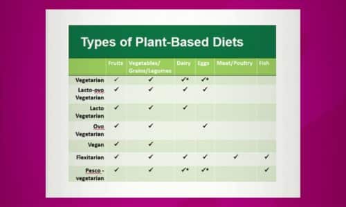 Types of Plant Based Diets