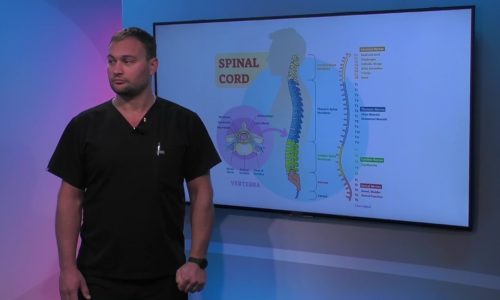 Function of the Thoracic Spine