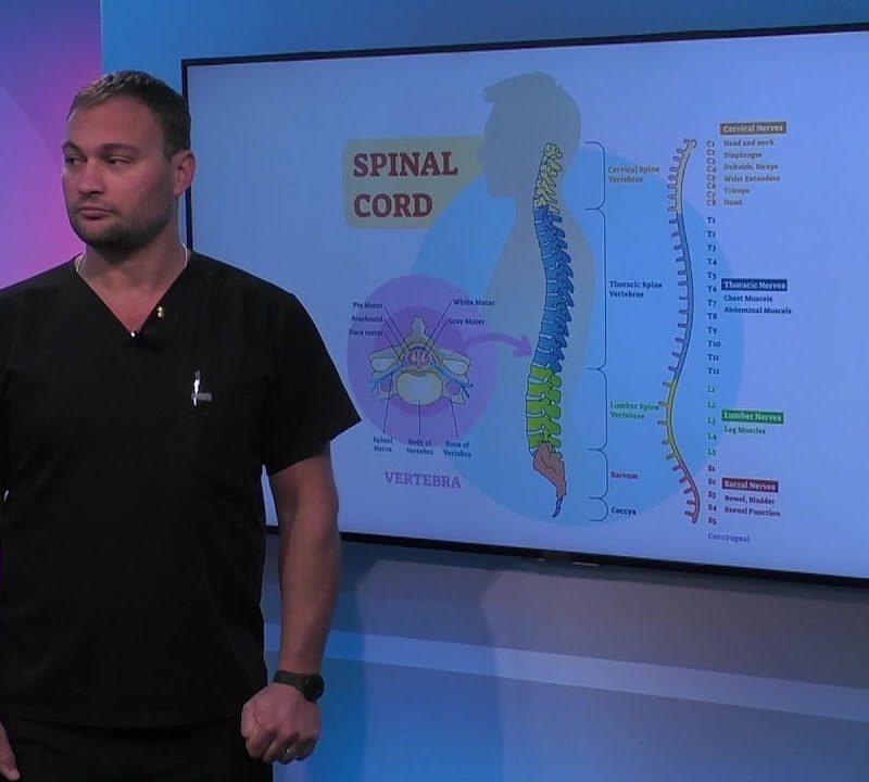 Function of the Thoracic Spine