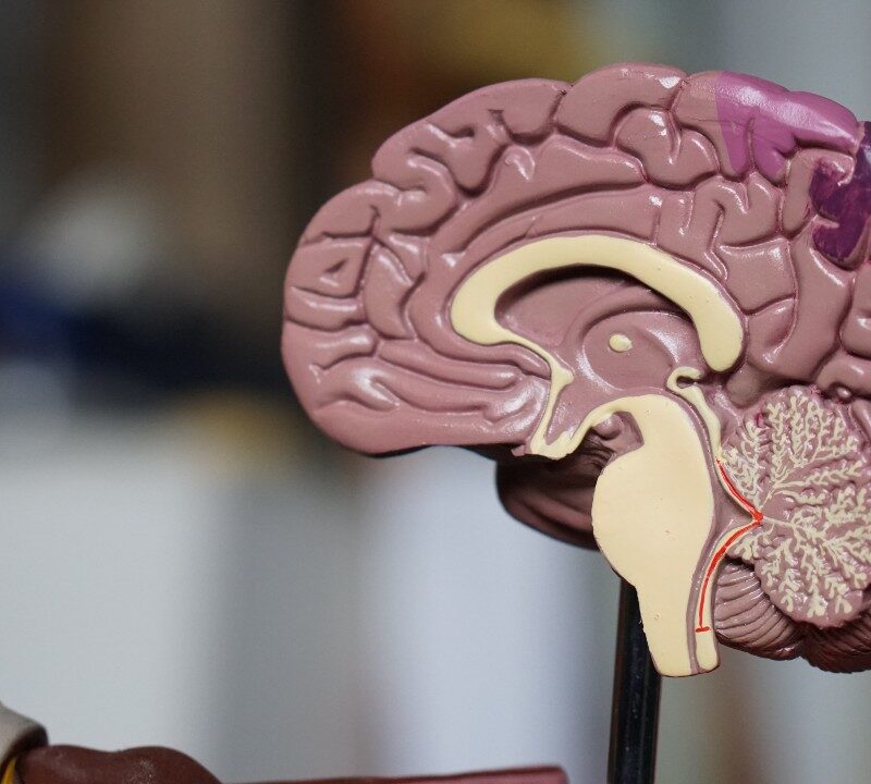 Alzheimer´s Disease Hope For The Future