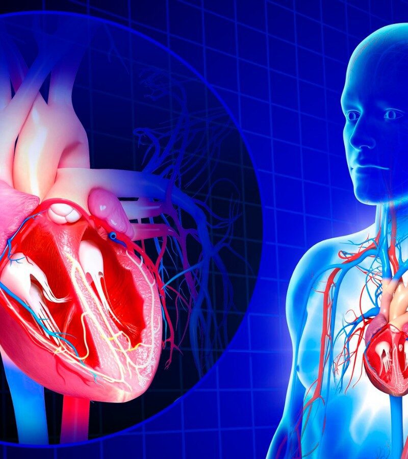 Stopping a Leaky Heart Without Major Surgery