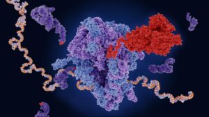mRNA Research Leads to Potential Cancer Breakthroughs