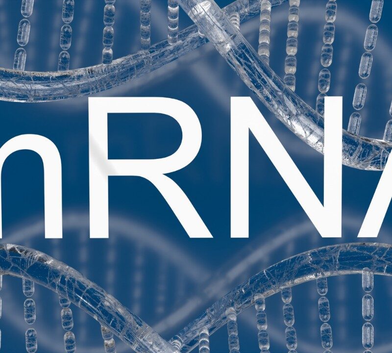 The Promise of Messenger RNA