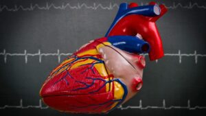 3D Heart Model Helps with Life-Saving Surgery