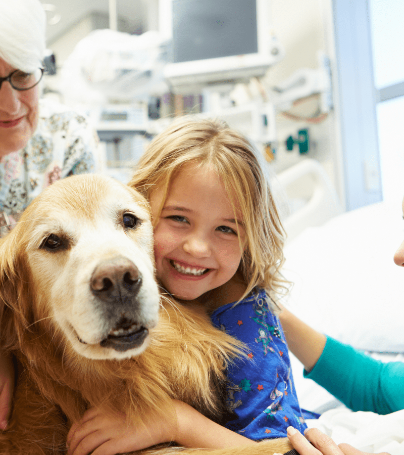 Animal Therapy & Children