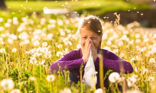 Living Minute | Relief From Allergy Symptoms