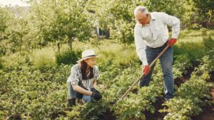 Gardening Can Help Prevent Osteoporosis and Other Diseases