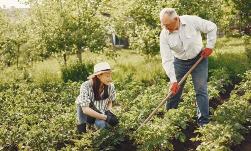 Gardening Can Help Prevent Osteoporosis and Other Diseases