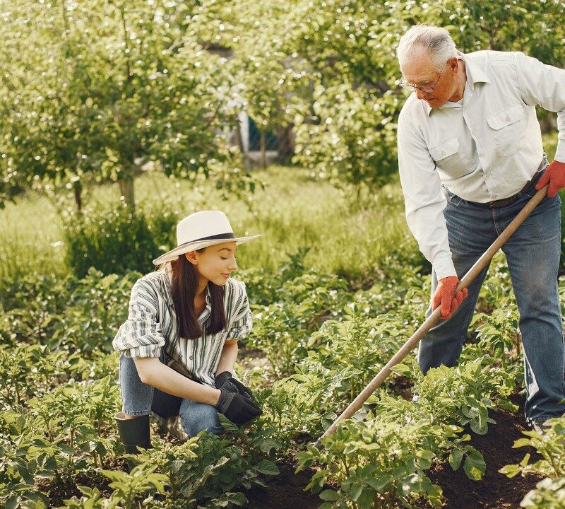 Gardening Can Help Prevent Osteoporosis and Other Diseases