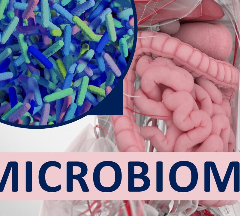 Getting Your Gut Healthy