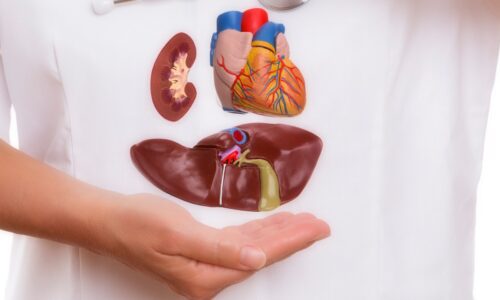 The Value of Living Donor Organ Transplants
