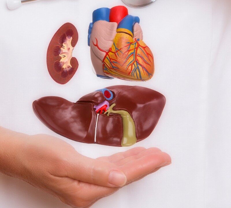 The Value of Living Donor Organ Transplants