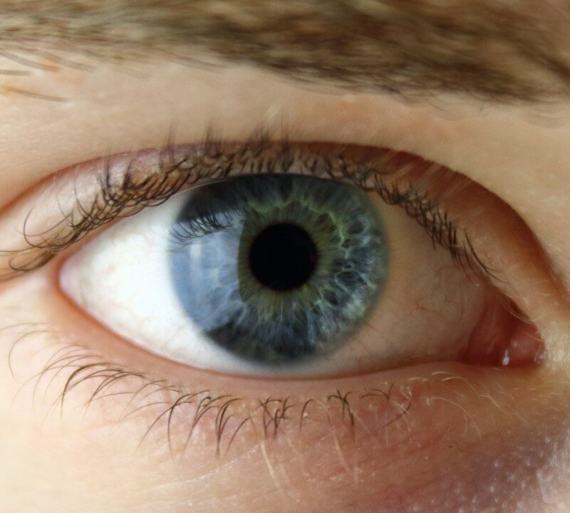 Sports and Eye Injuries