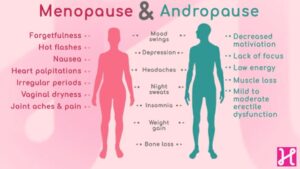 Causes of Menopause and Andropause