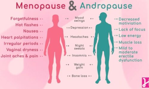 Causes of Menopause and Andropause