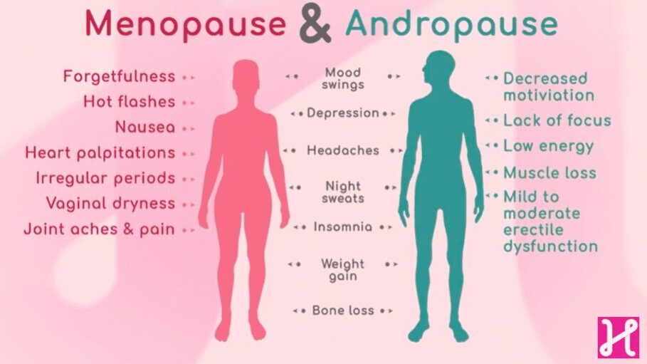 Causes of Menopause and Andropause - Health Channel