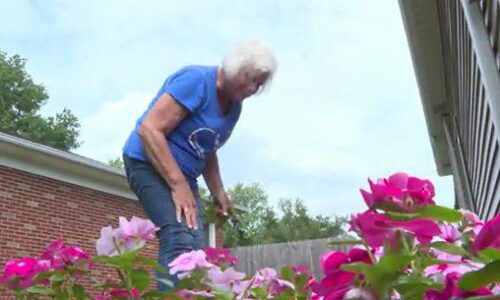 Innovative Diaphragm Paralysis Surgery Gets a Grandmother Back to Gardening