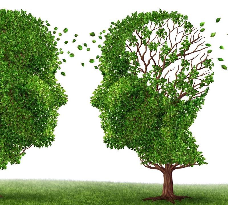 Reducing the Risk of Dementia