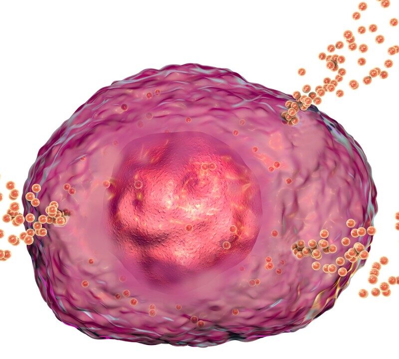 Can Histamine in Foods Cause Stomach Problems?