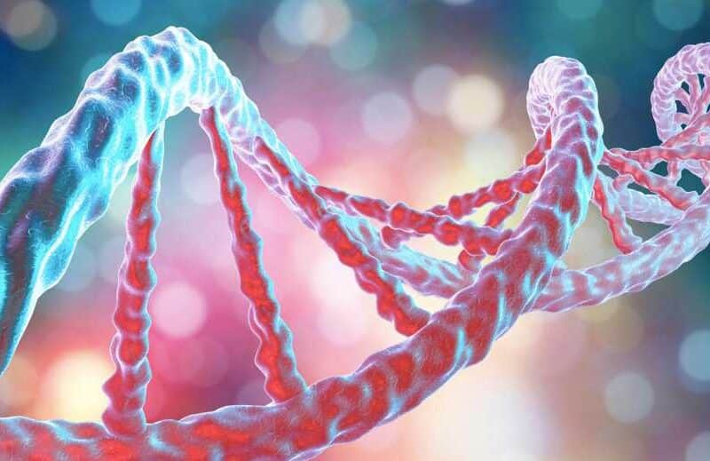 Which Genes Are Associated with Breast Cancer? | Health Channel