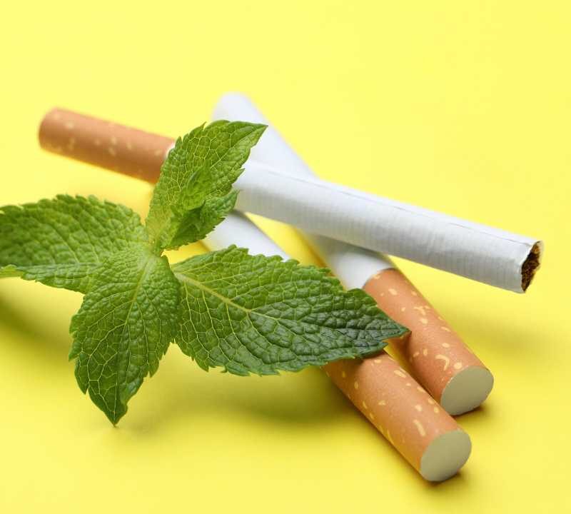 Menthol Cigarettes Are Able to Disguise Some Smoking Damage