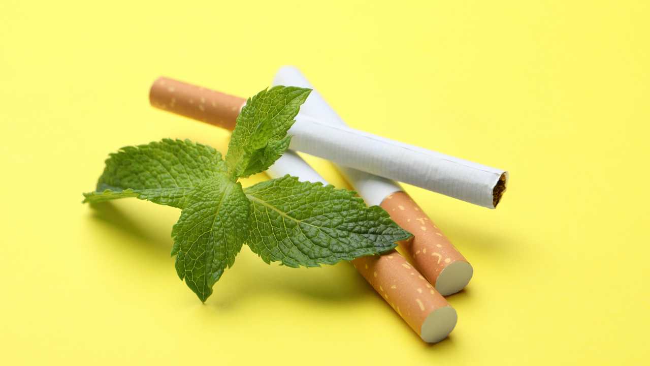 Menthol Cigarettes Are Able to Disguise Some Smoking Damage | Living Minute