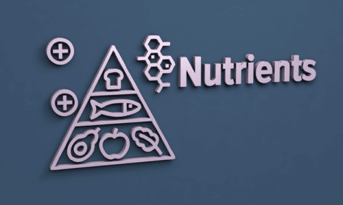 6 Essential Nutrients the Body Needs