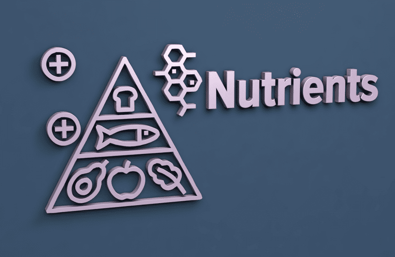 6 Essential Nutrients the Body Needs