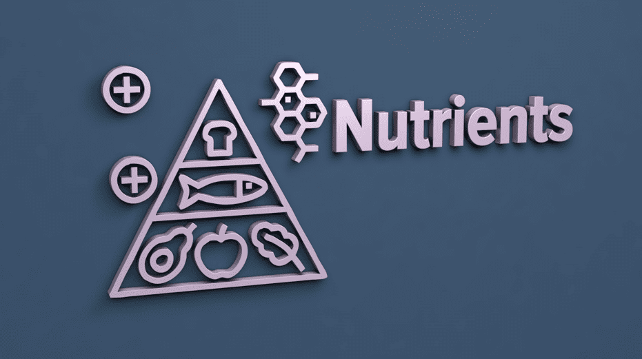 6 Essential Nutrients the Body Needs