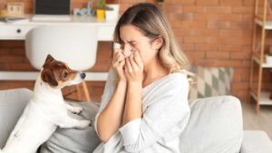 How To Deal With Pet Allergies?