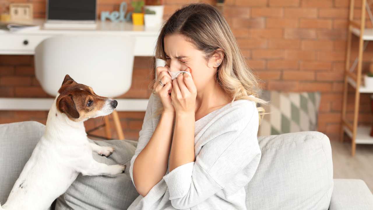 How To Deal With Pet Allergies? | Living Minute